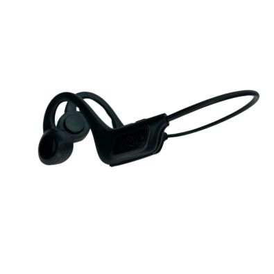 Audio