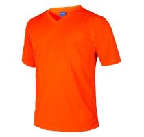 Tshirt Dry Fit Cuello V