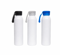 Botella Pinel 650Ml